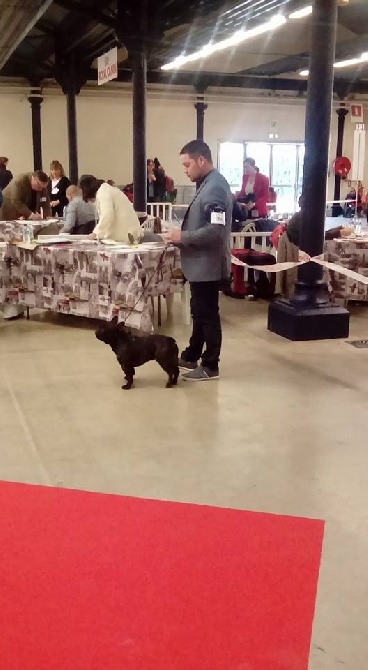 de l'Ô jadis Saint Philibert - Résultat Paris Dog Show
