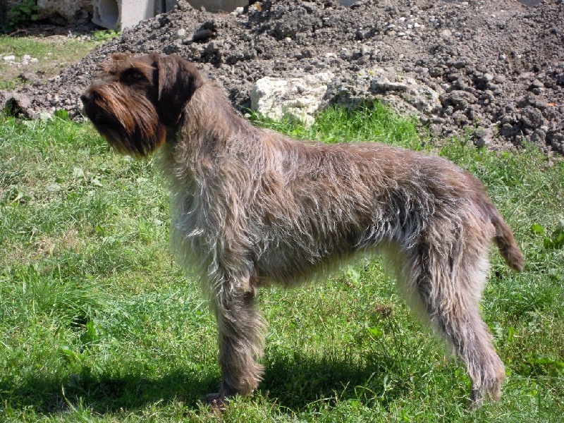 Hachka du Val d'Ondaine