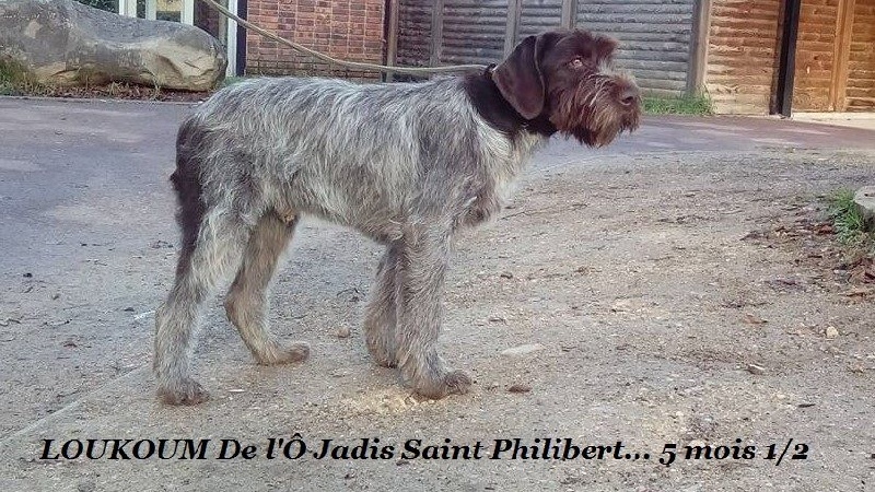 Loukoum de l'Ô jadis Saint Philibert